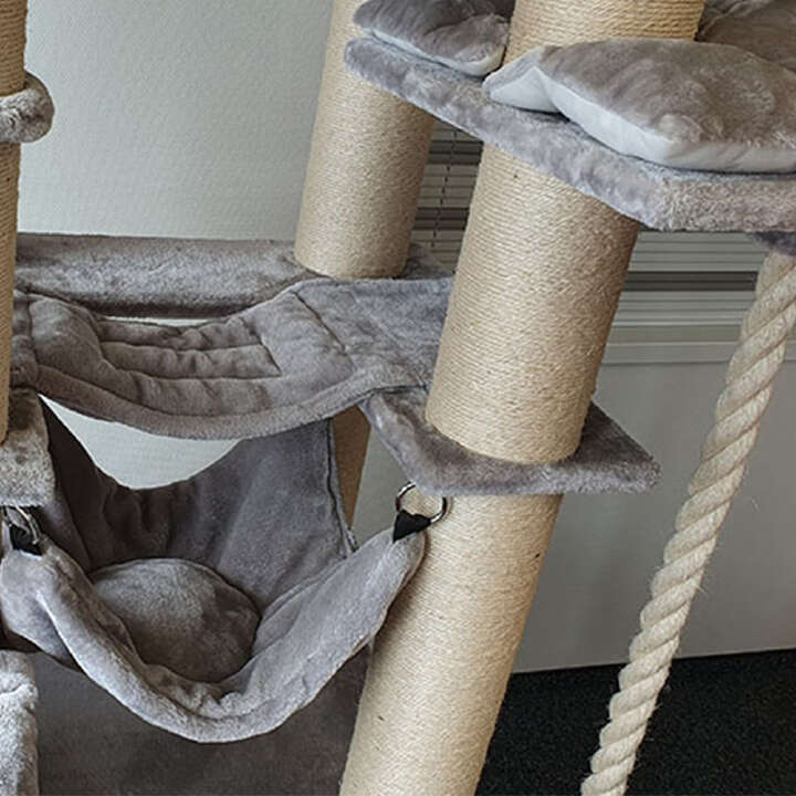 Nobby Kratzbaum Rubi